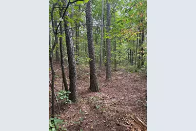 3842 Salacoa-Tract A, Waleska, GA 30183 - Photo 1