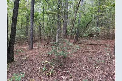 3834 Salacoa-Tract B, Waleska, GA 30183 - Photo 7