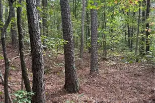 3826 Salacoa-Tract C, Waleska, GA 30183 - Photo 1