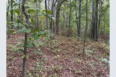 3826 Salacoa-Tract C, Waleska, GA 30183 - Photo 5