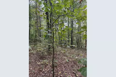 3826 Salacoa-Tract C, Waleska, GA 30183 - Photo 3