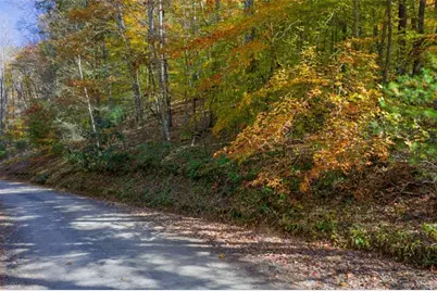 N/A Willard Mountain Road, Ellijay, GA 30513 - Photo 5
