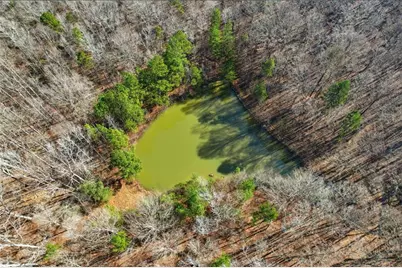 099012 Martin Road, Talmo, GA 30575 - Photo 39