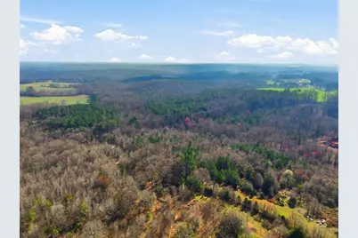 099012 Martin Road, Talmo, GA 30575 - Photo 9