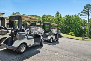 66 Tamarack Point, Jasper, GA 30143 - Photo 77