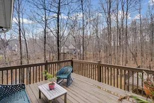 218 Amaranth Ct, Ball Ground, GA 30107 - Photo 35
