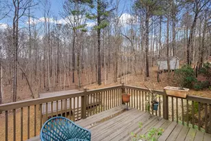 218 Amaranth Ct, Ball Ground, GA 30107 - Photo 29