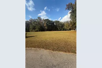 210 River Meadow Lane, Social Circle, GA 30025 - Photo 3