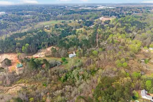 335 Ranger Wy, Braselton, GA 30517 - Photo 59