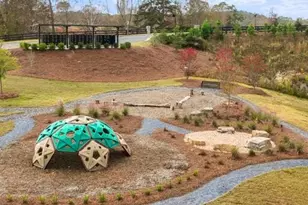 8935 Avonbrook Close, Ball Ground, GA 30107 - Photo 41