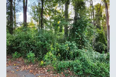 523 Spruce Drive, Pine Lake, GA 30072 - Photo 3