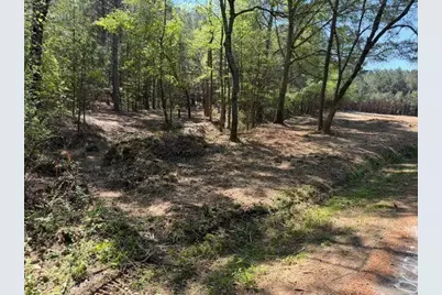 84 Popham Road Tract 1, Taylorsville, GA 30178 - Photo 1