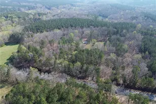 8381 Hwy 100, Buchanan, GA 30113 - Photo 63