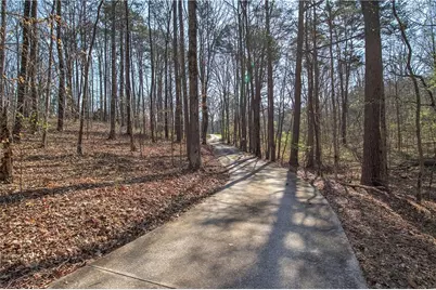 8381 Highway 100, Buchanan, GA 30113 - Photo 53