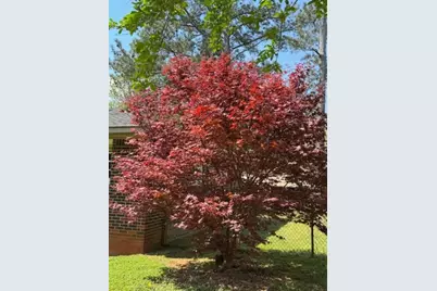 618 Valley Road, Cedartown, GA 30125 - Photo 17