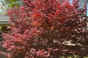 618 Valley Rd, Cedartown, GA 30125 - Photo 17