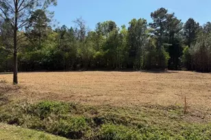 84 Popham Road Tract 2, Taylorsville, GA 30178 - Photo 1
