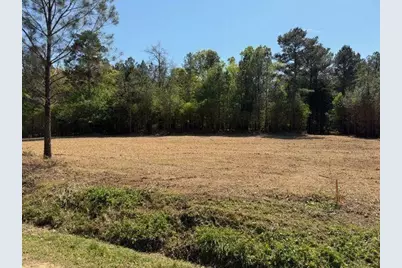 84 Popham Road Tract 2, Taylorsville, GA 30178 - Photo 1