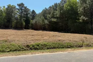 84 Popham Road Tract 3, Taylorsville, GA 30178 - Photo 1