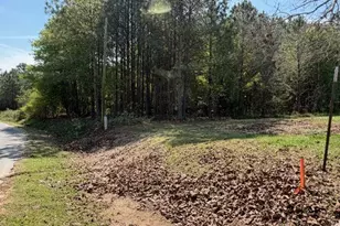 84 Popham Road Tract 3, Taylorsville, GA 30178 - Photo 1