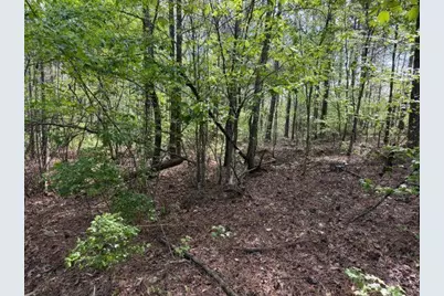 84 Popham Road Tract 3, Taylorsville, GA 30178 - Photo 3