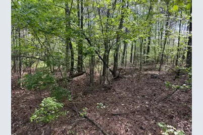 84 Popham Road Tract 3, Taylorsville, GA 30178 - Photo 3