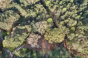 3230 Steadman, Tallapoosa, GA 30176 - Photo 43