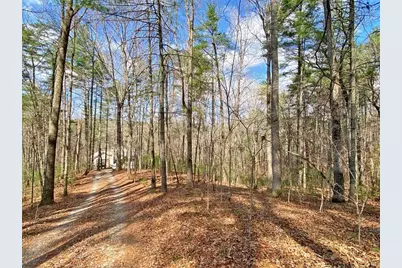 40 Bartram Trail, Dahlonega, GA 30533 - Photo 39