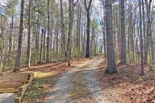 40 Bartram Trail, Dahlonega, GA 30533 - Photo 51