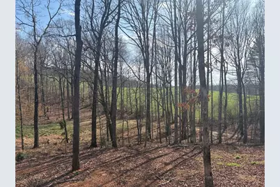 643 Old Ridge Road, Demorest, GA 30535 - Photo 19