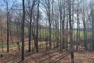 643 Old Ridge Rd, Demorest, GA 30535 - Photo 19