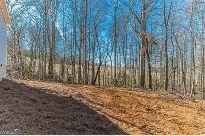 643 Old Ridge Road, Demorest, GA 30535 - Photo 57