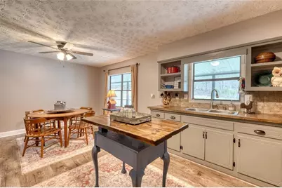 399 Pack Creek Road, Blue Ridge, GA 30513 - Photo 17