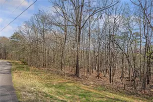 5234 Laurel Ln, Gainesville, GA 30506 - Photo 43