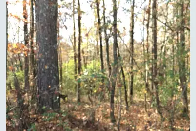 0 E Midland Avenue, Winder, GA 30680 - Photo 1