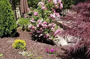 3188 Ivy Crossing Dr, Buford, GA 30519 - Photo 39