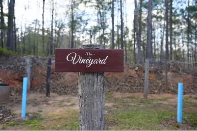 5043 Blackberry Lane, Buford, GA 30518 - Photo 25