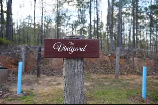 5043 Blackberry Ln, Buford, GA 30518 - Photo 25