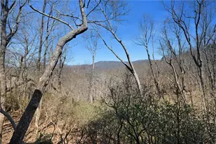 316 Tea Berry Ln, Big Canoe, GA 30143 - Photo 15