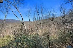 316 Tea Berry Ln, Big Canoe, GA 30143 - Photo 3