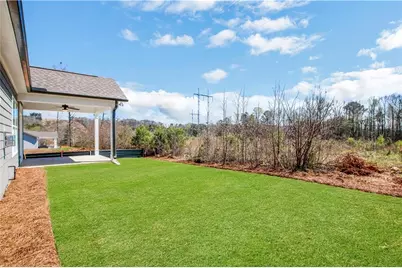 329 Conifer Lane, Ball Ground, GA 30107 - Photo 41