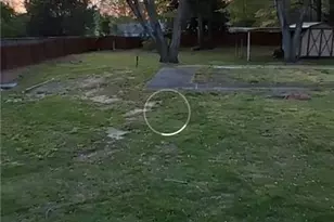 144 Clifford St, Loganville, GA 30052 - Photo 19