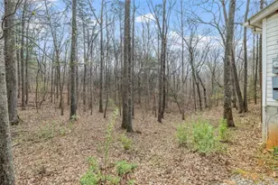 65 Tobacco Pouch Creek Rd, Dahlonega, GA 30533 - Photo 23