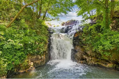 295 Starcross Lane, Jasper, GA 30143 - Photo 63