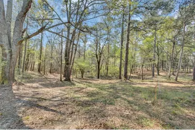 0 Social Circle Fairplay Road, Social Circle, GA 30025 - Photo 9