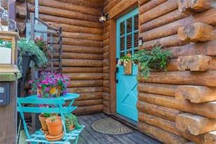 334 Cherokee Trail, Ellijay, GA 30540 - Photo 3