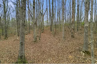 0 Carlan Road, Jasper, GA 30143 - Photo 17