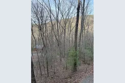 136 Little Rock Creek Trail, Cherrylog, GA 30522 - Photo 27