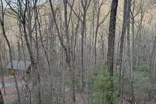 136 Little Rock Creek Trl, Cherrylog, GA 30522 - Photo 27