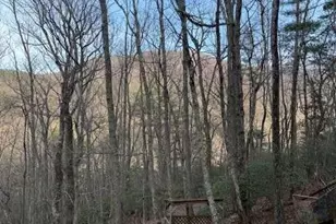 136 Little Rock Creek Trl, Cherrylog, GA 30522 - Photo 29